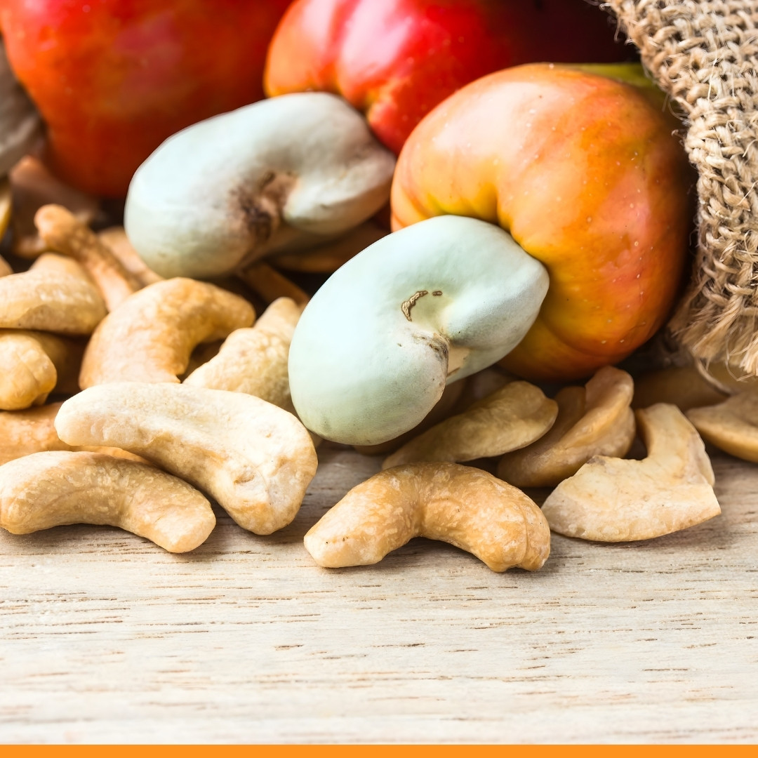 Noix de cajou brutes et transformées